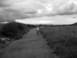 landscape of child girl walking by path at field, uk, northern ireland, antrim