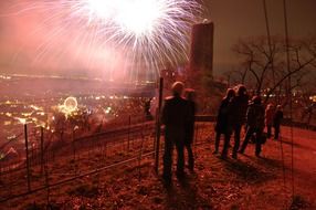 people watching the fireworks at night