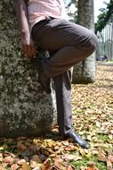 young man near a tree in the park