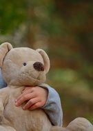 teddy bear in children's hands close-up on blurred background