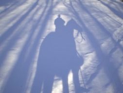 shadow of cowboy riding horse on snow