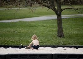 blond little boy playing in sand outdoor tree