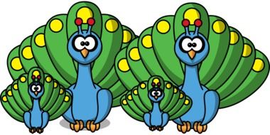 illustration of peacocks and peachicks family