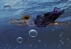 girl among the underwater world
