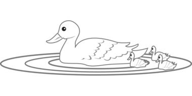 duck drawing with ducklings on the water
