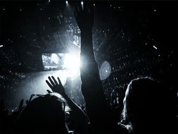 Crowd on a concert