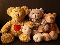 teddy bears toys