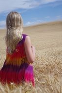 blonde girl in ripe wheat field