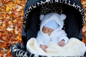 baby in a stroller in the middle of golden autumn