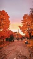 people walking in park at autumn sunset, finland