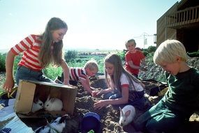 children are playing with rabbits on a farm