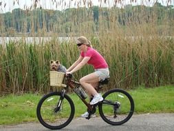 photo of the woman is riding on a bike with dog