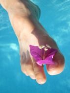 Flower on foot