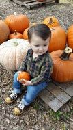 pumpkin and boy