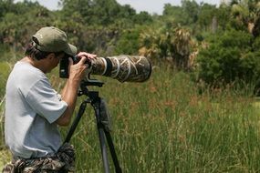 photographer among the wildlife