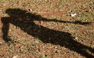 girl's shadow on the dry grass