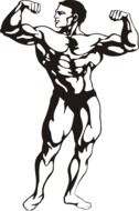 bodybuilder muscles man drawing