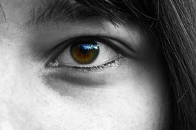 eye girl macro foto