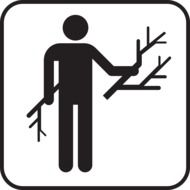 man breaking branches