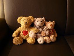Teddy bears on the couch