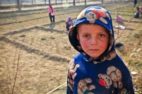 boy in a farm in Afghanistan