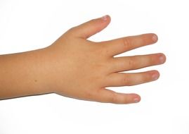 child hand at white background