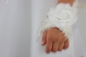 hands child fingers white roses