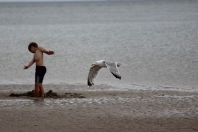 Beach in Denmark