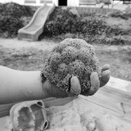 picture of the baby is holding a sand