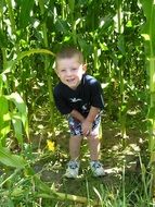 happy baby on green cornfield