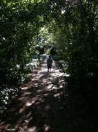 A child walks along a path among green trees