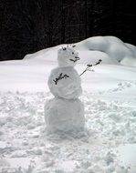 funny snowman on a winter background
