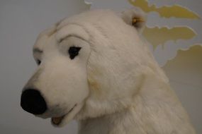 head of toy polar bear close-up