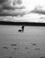 girl with a dog for a walk on the beach