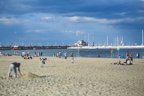 people resting on the beach