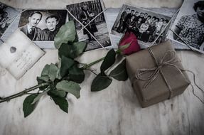 pictures memories and flower