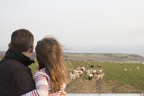 landscape of father and daughter watching sheep in the countryside