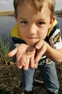 Small fish in the hand