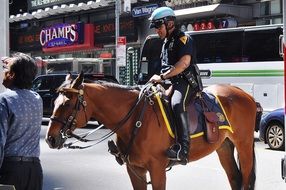 Police man on horse