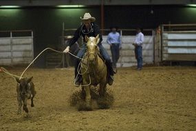 picture of rodeo arena