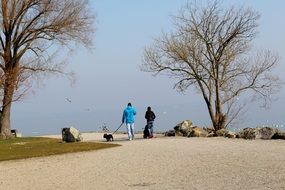 people walk with dogs near the lake