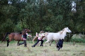 running horses, children and a dog