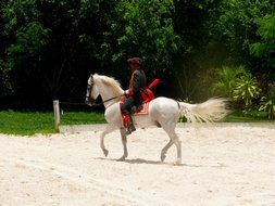 horse show, dominican republic