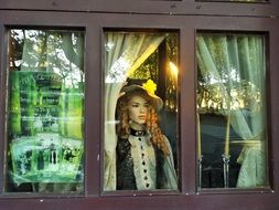 curly handsome mannequin in the shop window