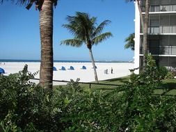 ocean gulf sand