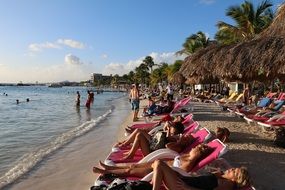 beach full of sunbathing people