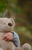toy bear in kid's arms