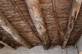roofs caÃ±as