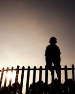 child on the fence