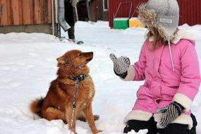 girl playing in the snow with a dog